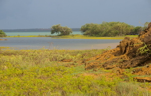 Circuit "La Cité Perdue des Indiens Caraïbes" par Allibert Trekking