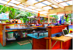 Cuisine d'été pleine de charme, Hedonisia Hawaii, Pahoa - États-Unis