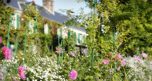 La maison de Claude Monet plongée dans les fleurs