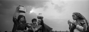 Les Rabaris (Inde) – Une minorité nomade, Extrait de l'ouvrage "Hommes Racines" paru aux éditions La Martinière