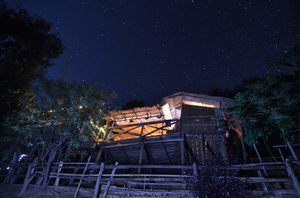 Limeleaf Eco-Lodge - Wiang Pa Pao, Thaïlande