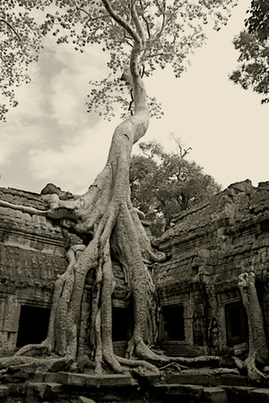 Peuples et fleuves d'Indochine