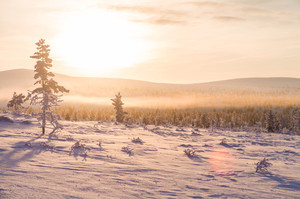 Piste de ski de fond nature dans le parc Uhro Kekkonen au départ de Kiilopää - Finlande