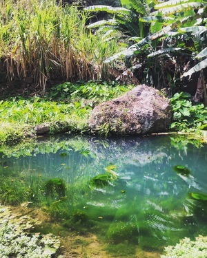Randonnée à Paùl dans un éden bourré de générosité - Santo Antão, Cap-Vert