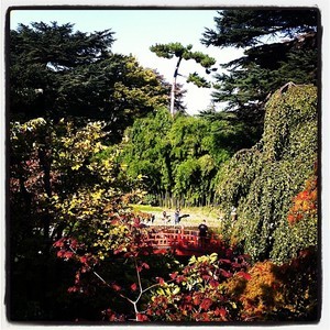 Vue sur le pont rouge du jardin Albert Kahn
